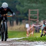 Байкджоринг