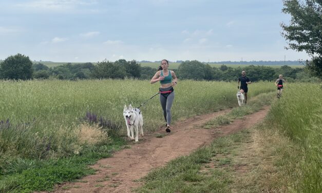 Как да започнем с каникрос