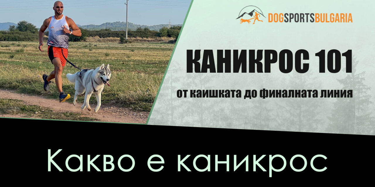 КАНИКРОС 101: Какво е каникрос?