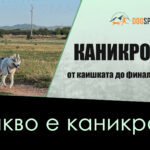 КАНИКРОС 101: Какво е каникрос?