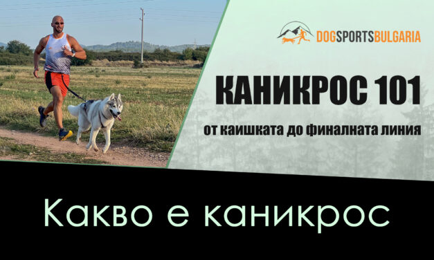 КАНИКРОС 101: Какво е каникрос?